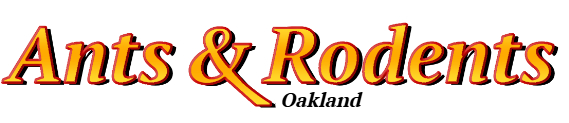 Oakland Ant Exterminator & Rodent Control Company Logo